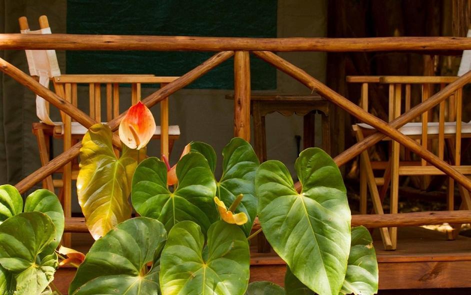 Simbamwenni Lodge And Camping Morogoro Extérieur photo