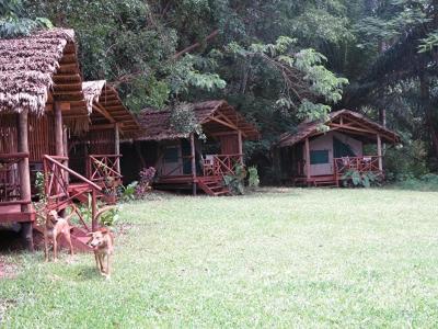 Simbamwenni Lodge And Camping Morogoro Extérieur photo