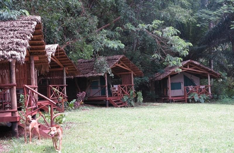 Simbamwenni Lodge And Camping Morogoro Extérieur photo